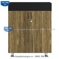 Tủ tài liệu Bright BRI1000-2T2